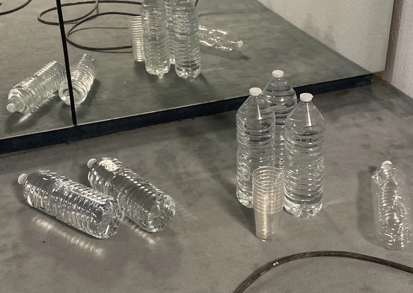 Activation HORMONOL au groupshow : <i>Do&nbsp;you&nbsp;care</i>